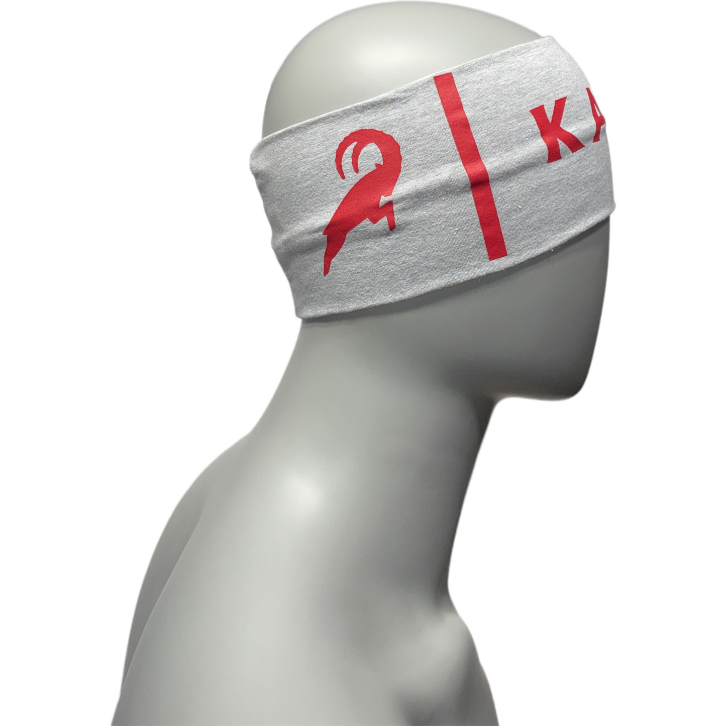 Headband WILDSPITZE